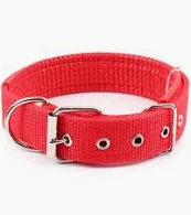 collar perro